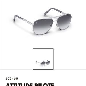 Louis Vuitton sunglasses -brand new! $700 in store